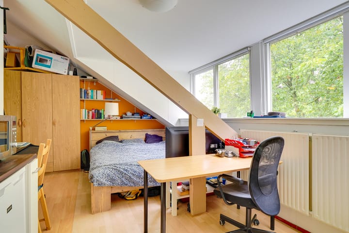 Photo 8 of Alexander Numankade 17