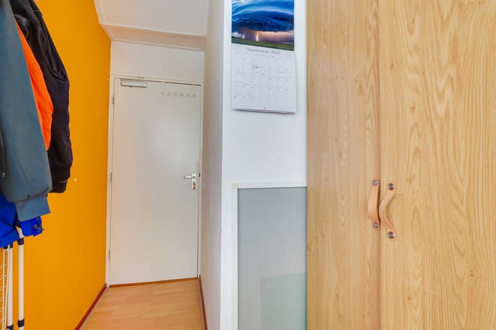 Photo 11 of Alexander Numankade 17