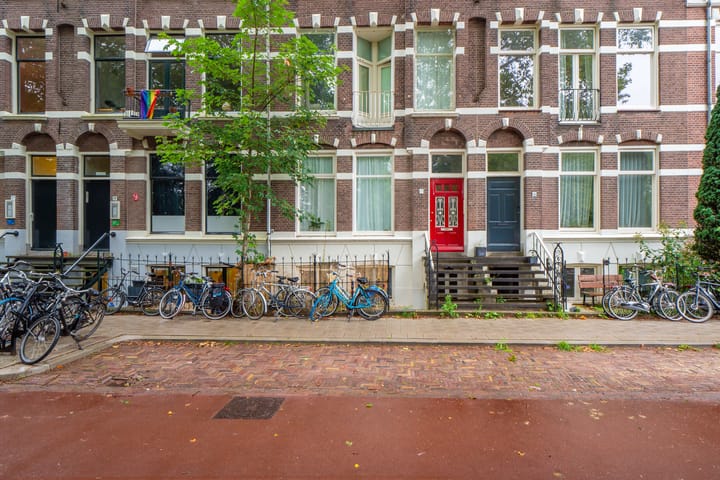 Photo 22 of Alexander Numankade 17