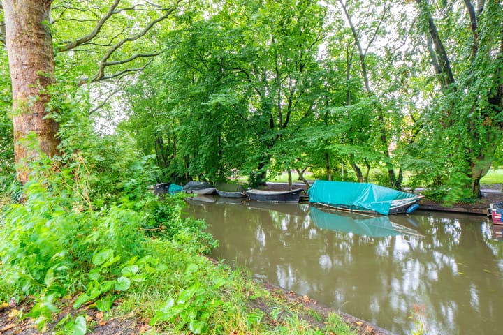 Photo 26 of Alexander Numankade 17