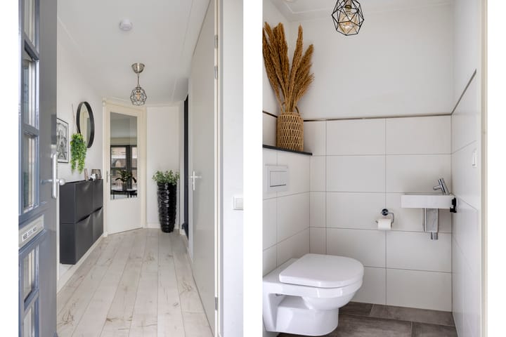 Foto 5 van Maashofje 4