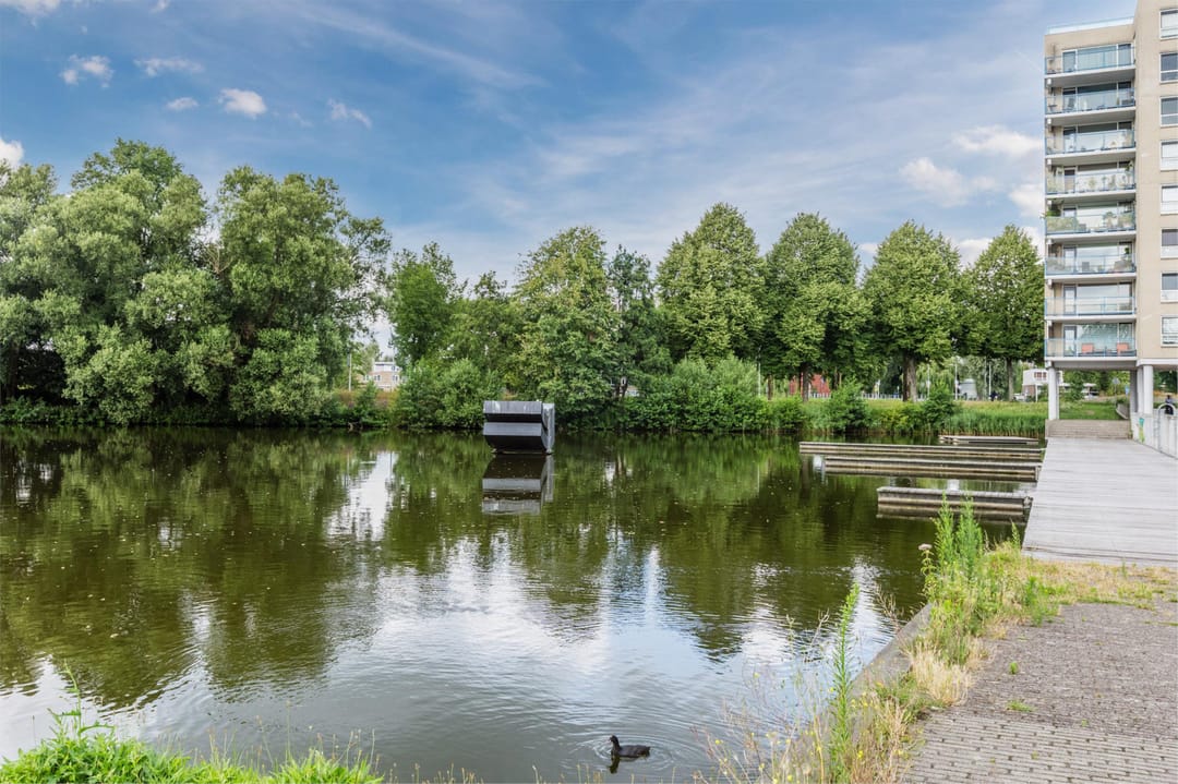 Photo 53 of Kinrooistraat 2