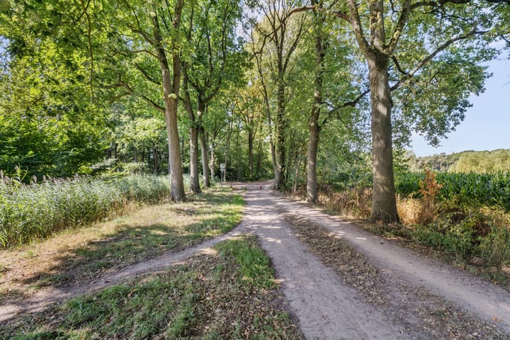 Photo 47 of Haagwinde 20