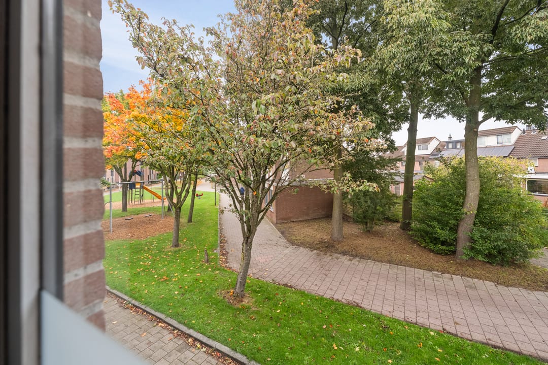 Foto 28 van Pampuspad 34