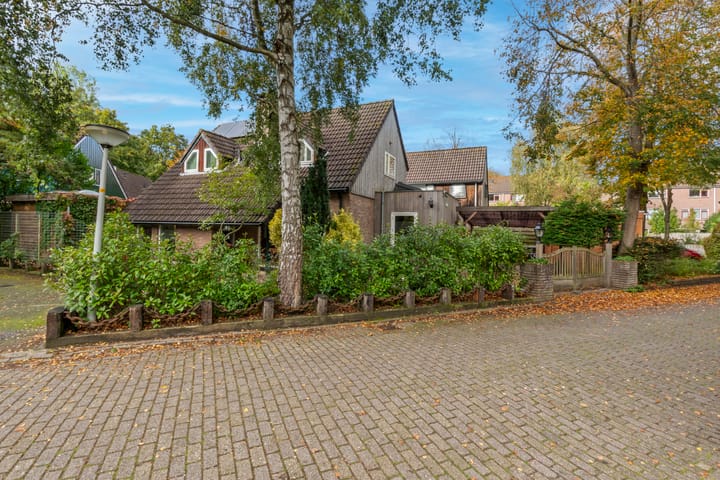 Foto 3 van Wielsloot 12