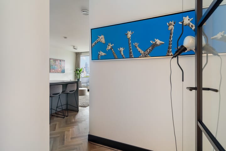 Foto 7 van Baan 46-D