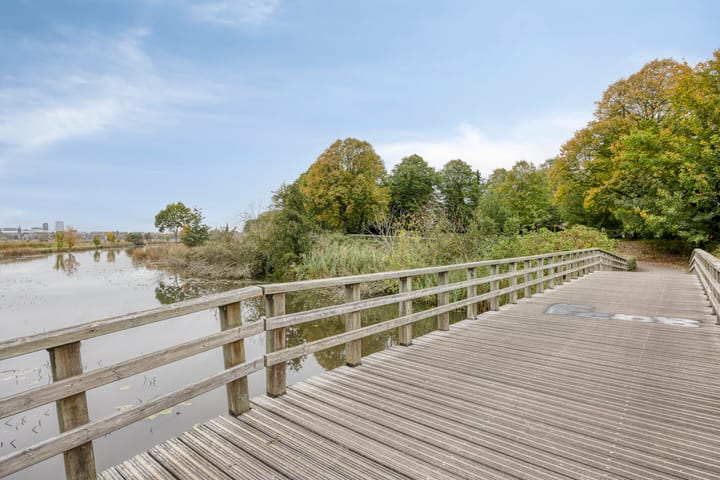 Foto 49 van Liviusstraat 11