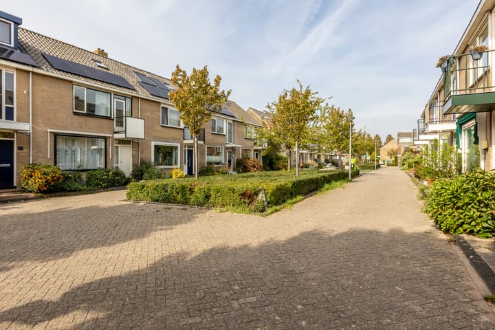 Foto 41 van Zeemanhof 4