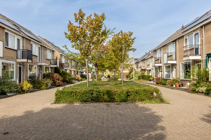 Foto 42 van Zeemanhof 4