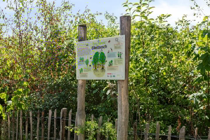 Foto 25 van Aartshertogenlaan 256-B