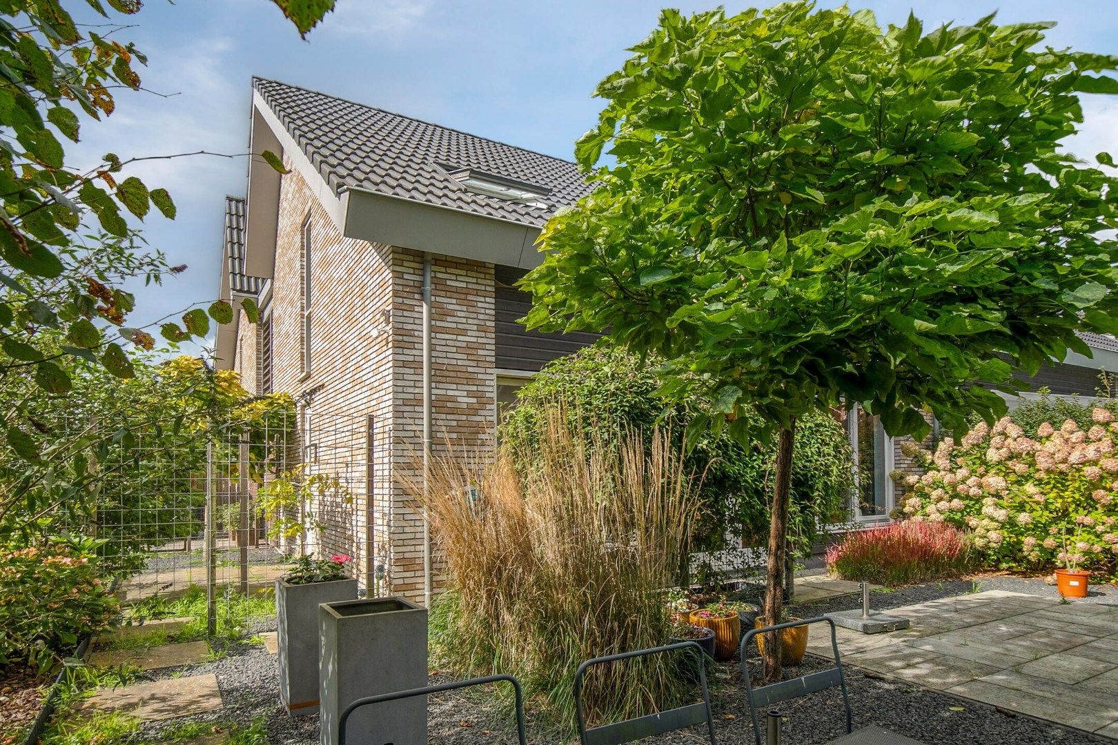 Foto 3 van Vlierenberg 1