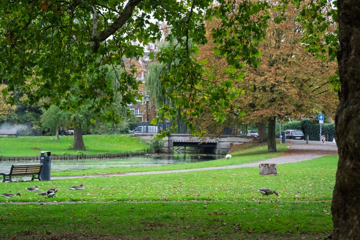 Photo 45 of Mecklenburglaan 30-B