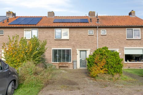 undefined main image