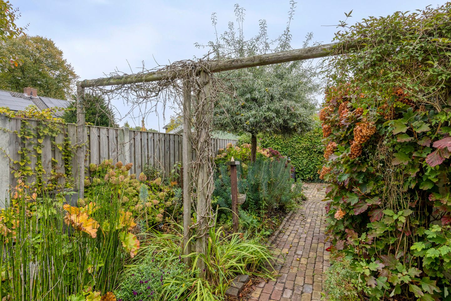 Foto 35 van Oranjestraat 3