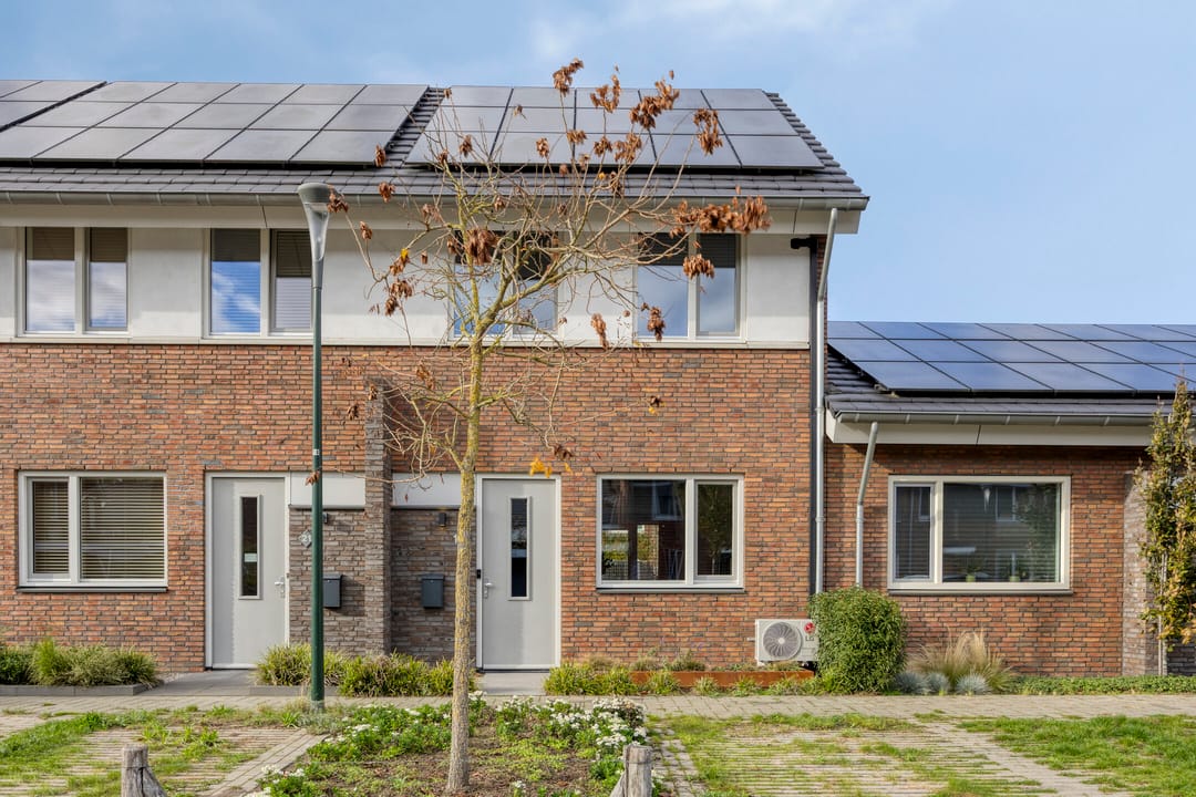 Photo 32 of Heibloem 19