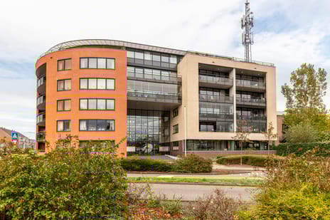 undefined main image