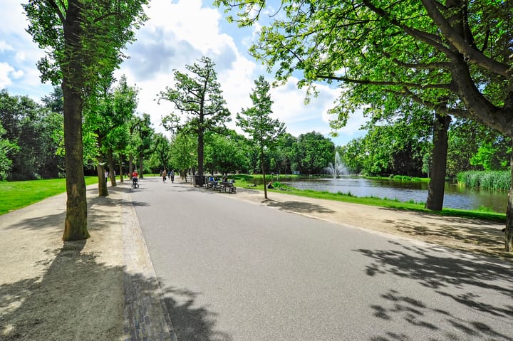 Foto 20 van Vossiusstraat 13-D