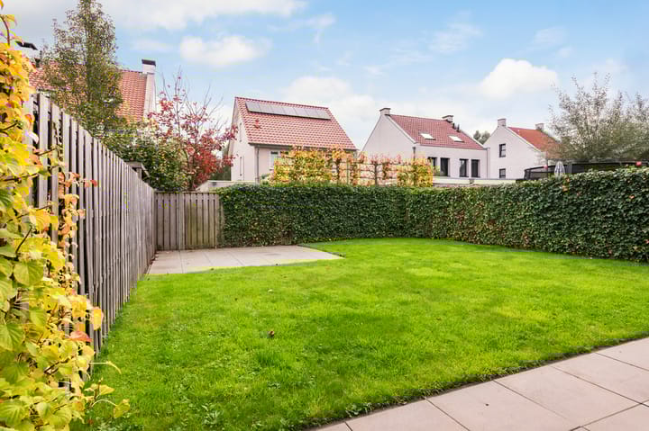 Foto 42 van Lover 94