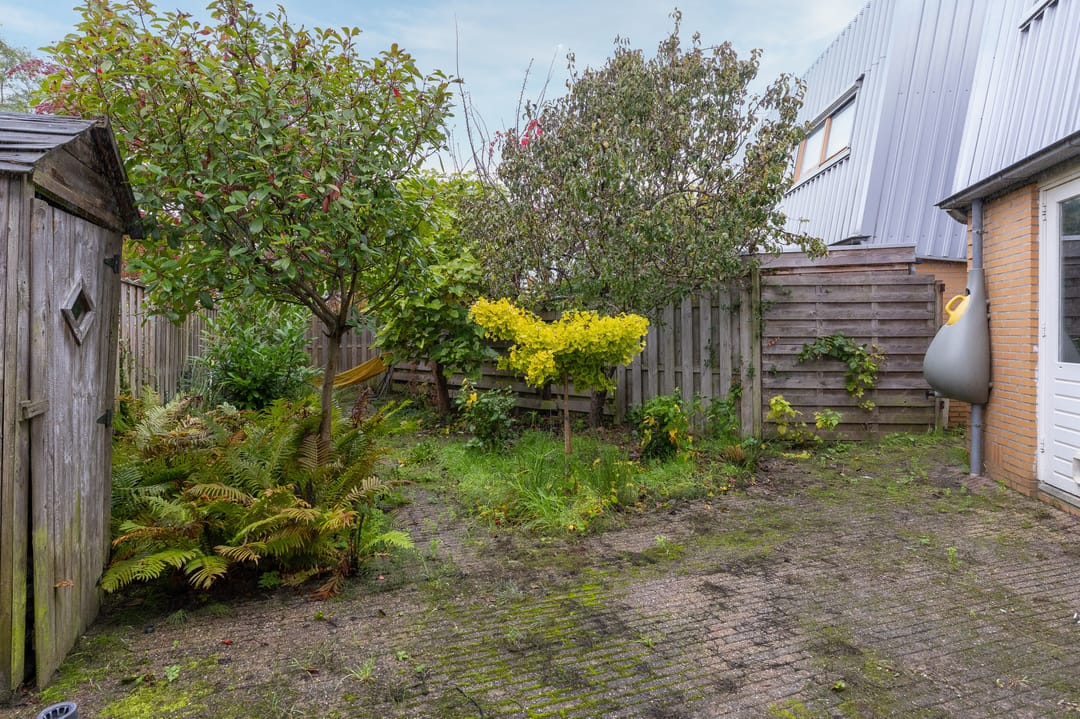 Photo 31 of Cees Buddingh'hof 152