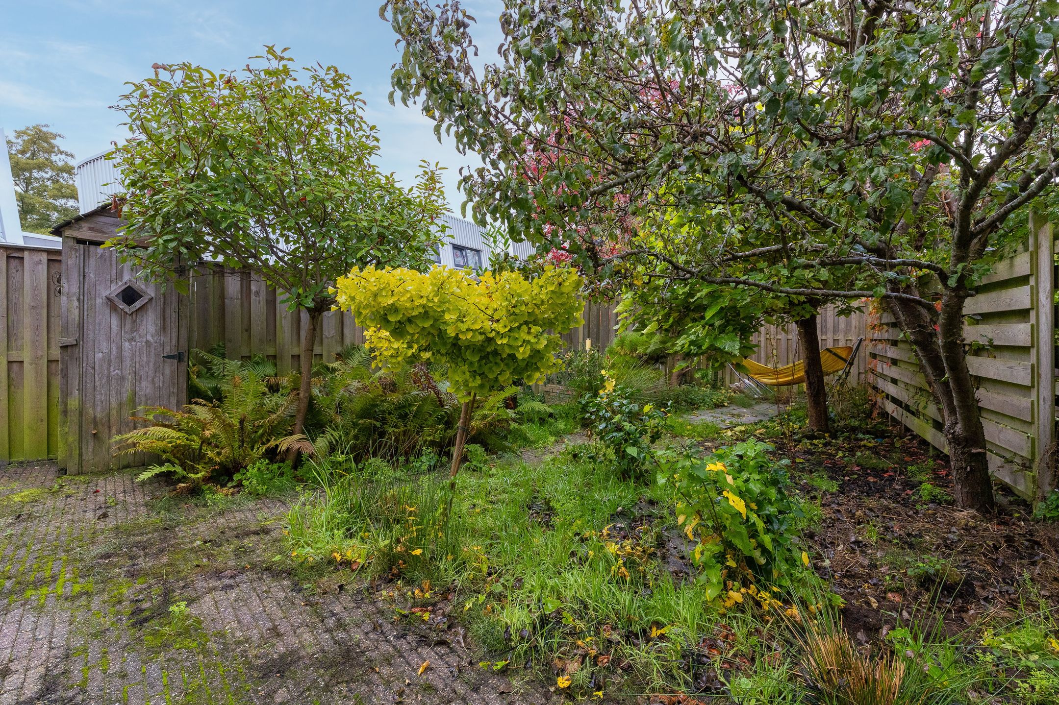 Photo 33 of Cees Buddingh'hof 152