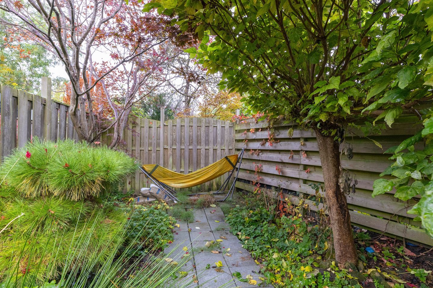 Photo 34 of Cees Buddingh'hof 152