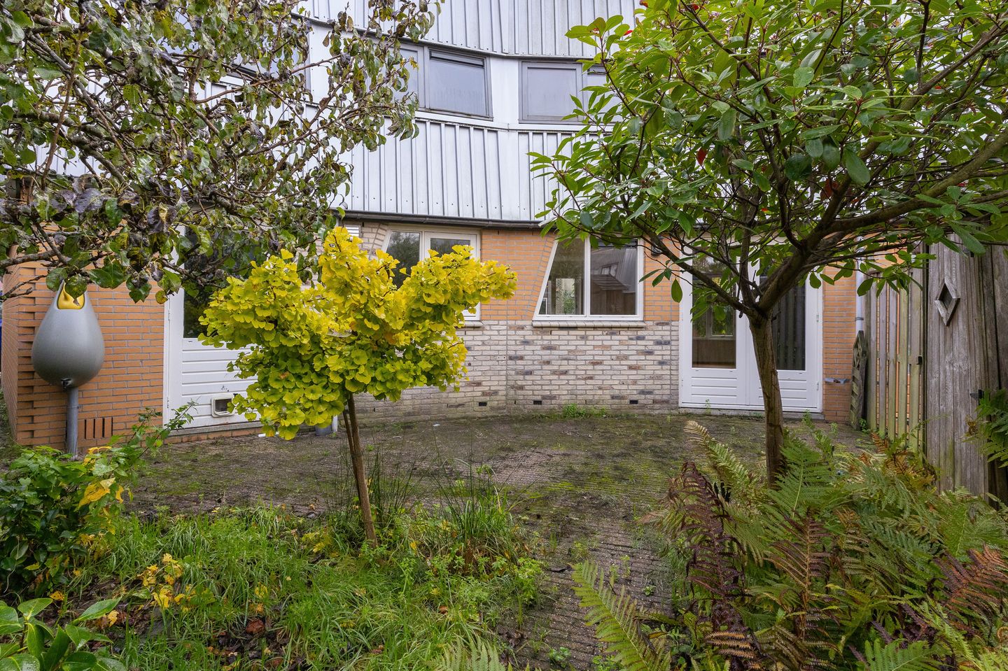 Photo 35 of Cees Buddingh'hof 152