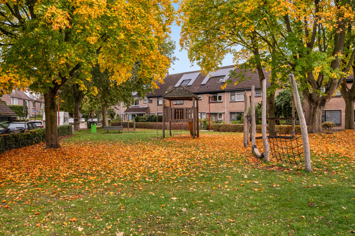 Foto 41 van Orpheuslaan 19