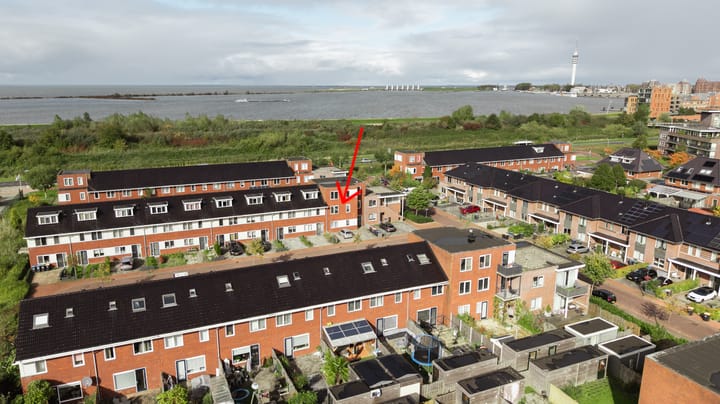 Galjoen 05 8 main image