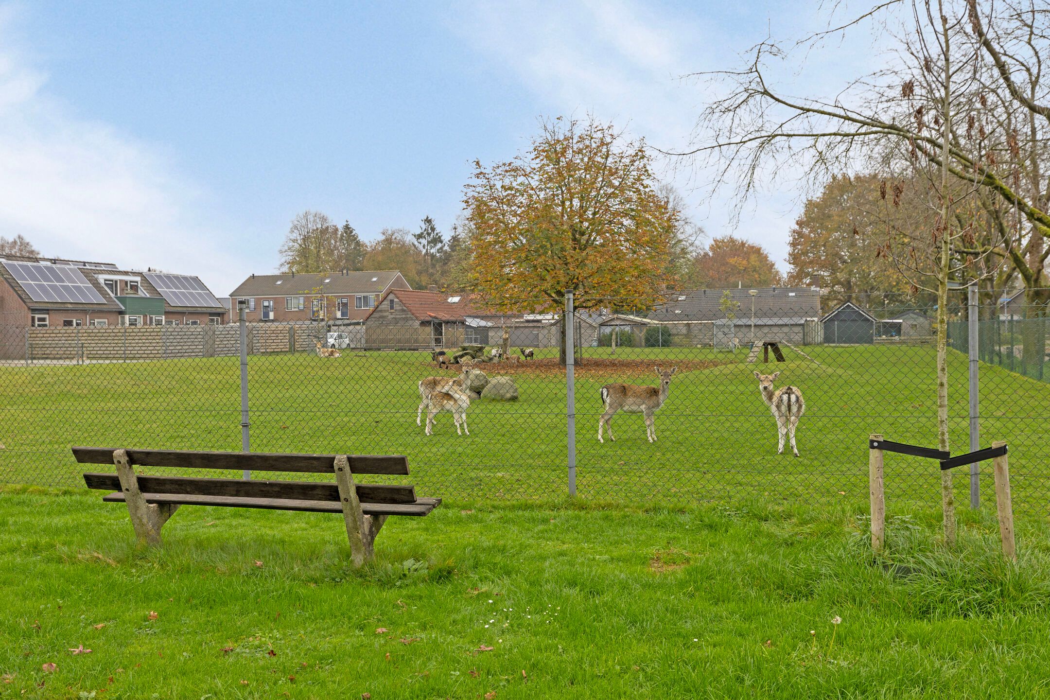 Foto 36 van Lootenstraat 10