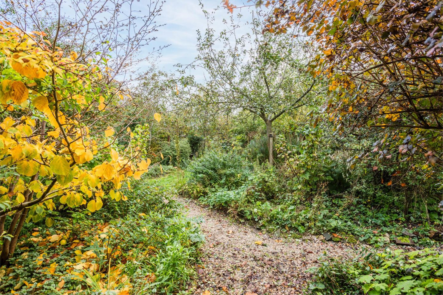 Photo 80 of Tiendschuurstraat 32