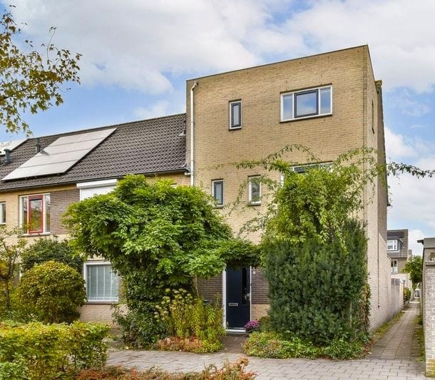 Malandolaan 2 main image