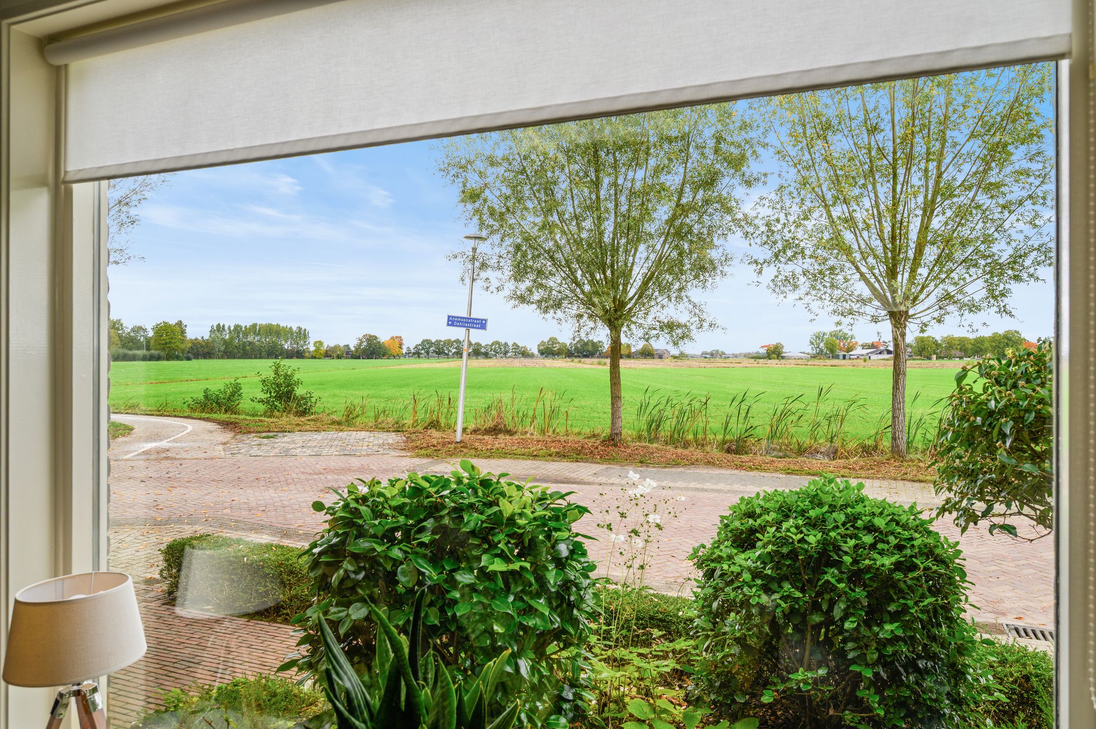 Foto 3 van Anemoonstraat 2