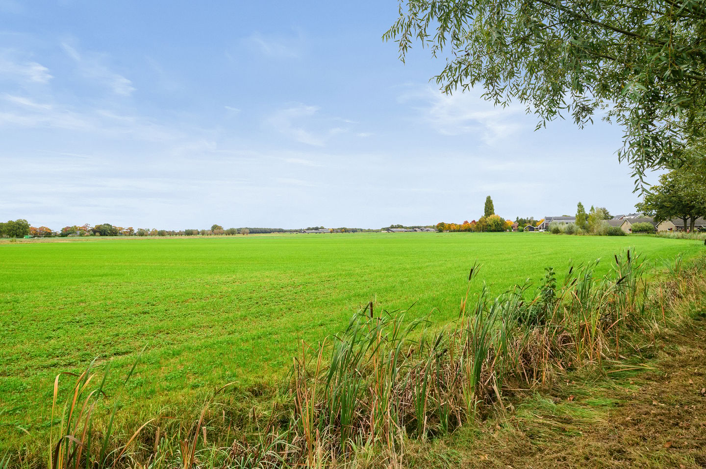 Foto 29 van Anemoonstraat 2