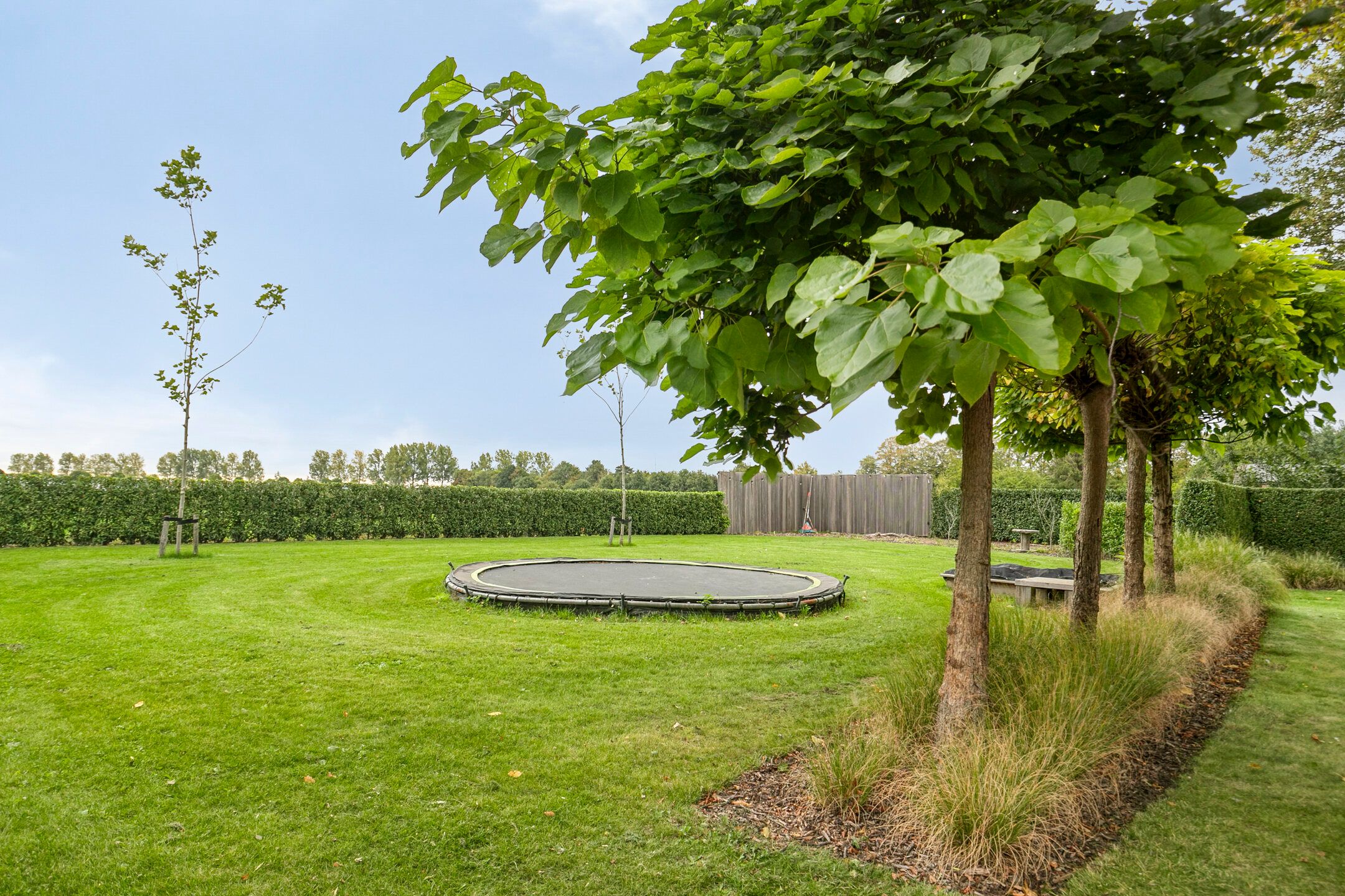 Foto 51 van Wilhelminastraat 96