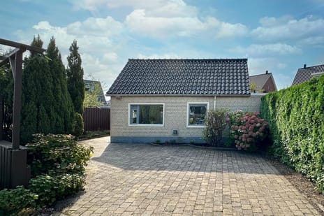 undefined main image