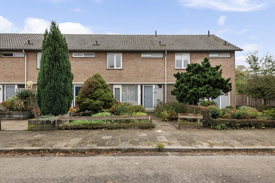 Foto 1 van Malvert 2013