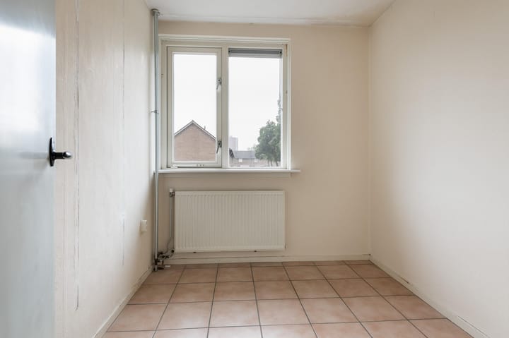 Foto 14 van Malvert 2013