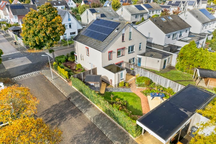 Foto 2 van Zilverdistel 2