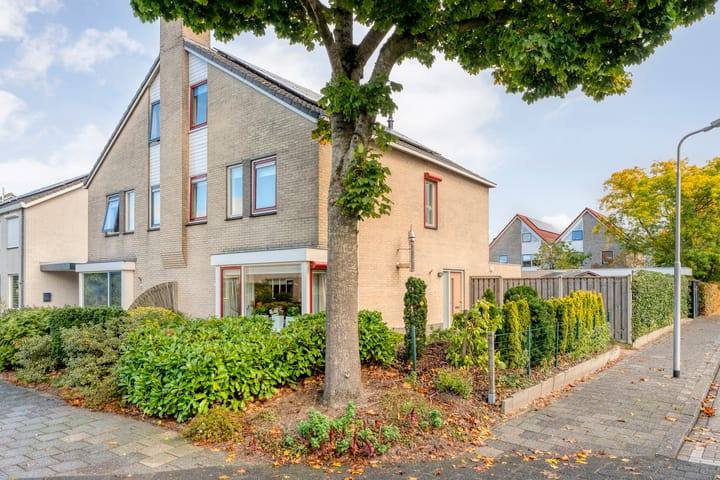 Zilverdistel 2 main image