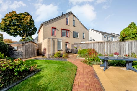 Zilverdistel 2 tertiary image