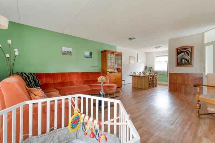 Foto 5 van Zilverdistel 2