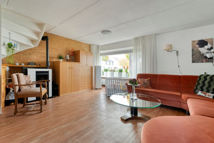 Foto 7 van Zilverdistel 2