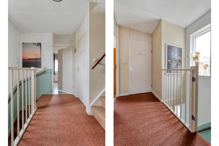 Foto 16 van Zilverdistel 2