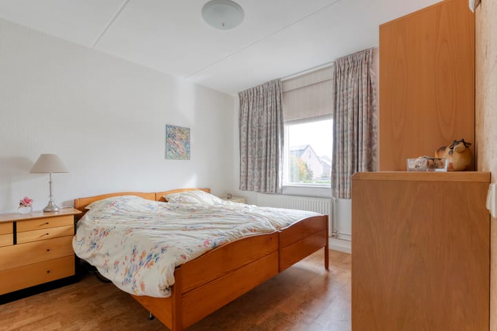 Foto 17 van Zilverdistel 2