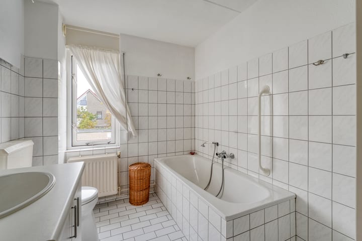 Foto 19 van Zilverdistel 2