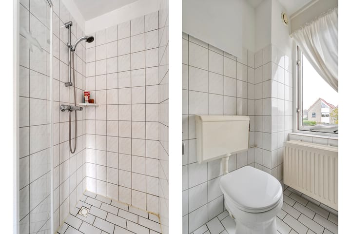 Foto 21 van Zilverdistel 2