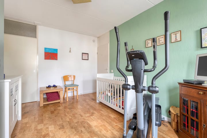 Foto 25 van Zilverdistel 2