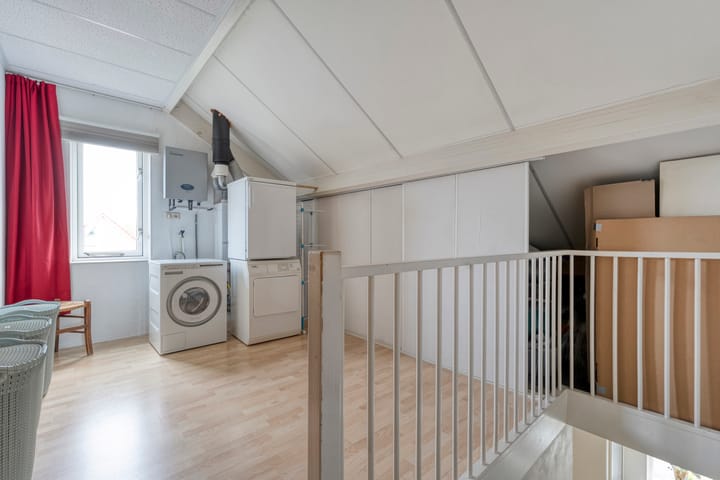 Foto 26 van Zilverdistel 2