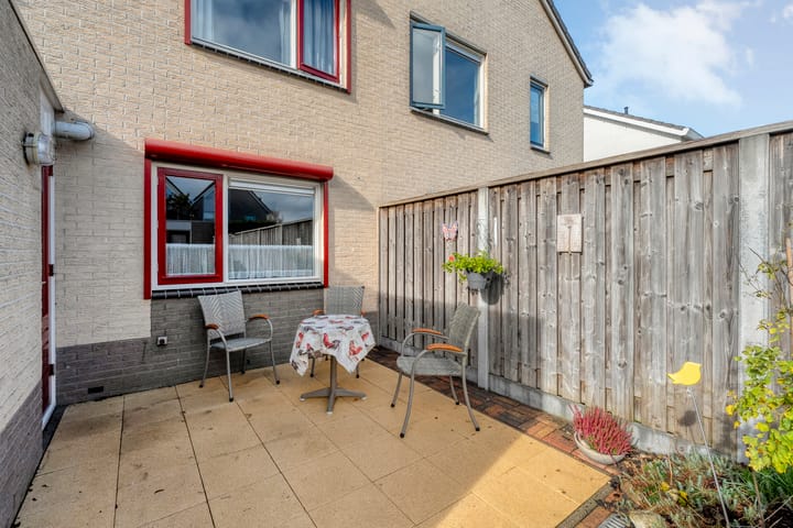 Foto 33 van Zilverdistel 2