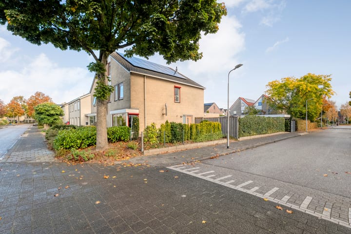 Foto 37 van Zilverdistel 2